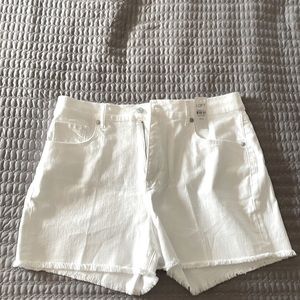NWT LOFT High Rise Cut Off Shorts